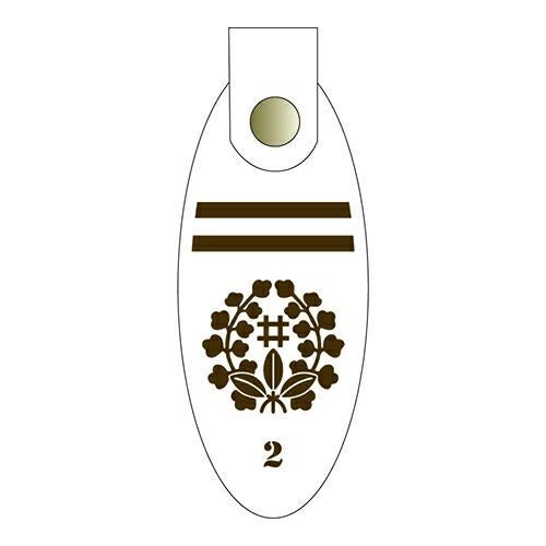 薔薇藤井桁